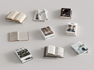 Book Magazine Book Portfolio 3d model