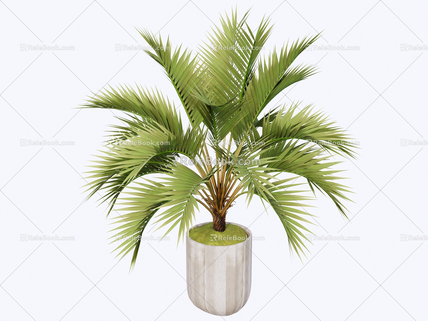 indoor potted plant 3d model