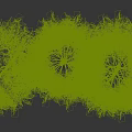 Three Tall Bamboo Plants With Green Leaves And Yellow Stems On Black Background
