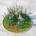 White Vegetable Plants on Round Green Display Stand with Vegetable Category Label 3d model