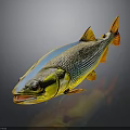 Vibrant Striped Fish with Yellow Blue and Orange Shiny Body on Dark Background