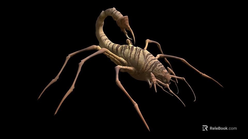 Reptile Scorpion With Segmented Body Claws And Venomous Stinger Tail 3d model 