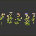 Colorful Flowers with Green Stems and Leaves on Gray Background with Reflective Surface