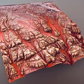 Natural Stone And Wood Elements In Red Rock Snowy Landscape Terrain