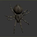 Realistic 3D Spider Model With Skeletal Legs And Brown Exoskeleton 3d model