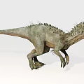 Realistic Prehistoric Dinosaur Figure With Spiked Back Long Tail And Sharp Teeth