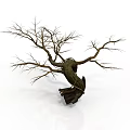 Withered Tree Decorative Ornament With Twisted Trunk And Bare Branches
