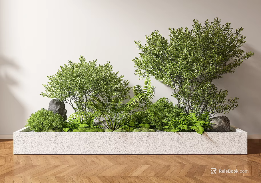 Bonsai Potted Plants In White Rectangular Planter With Green Ferns Stones Light Wall Wooden Floor 3d model 