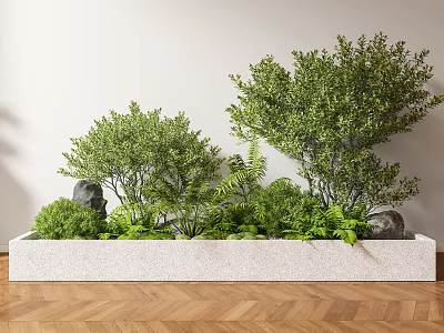 Bonsai Potted Plants In White Rectangular Planter With Green Ferns Stones Light Wall Wooden Floor 3d model