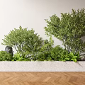 Bonsai Potted Plants In White Rectangular Planter With Green Ferns Stones Light Wall Wooden Floor