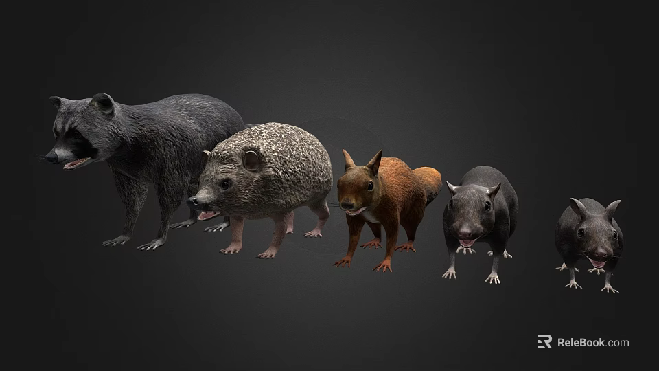 Diverse Reptile Species Arranged In A Row Against Black Background 3d model 