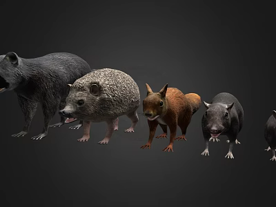 Diverse Reptile Species Arranged In A Row Against Black Background 3d model