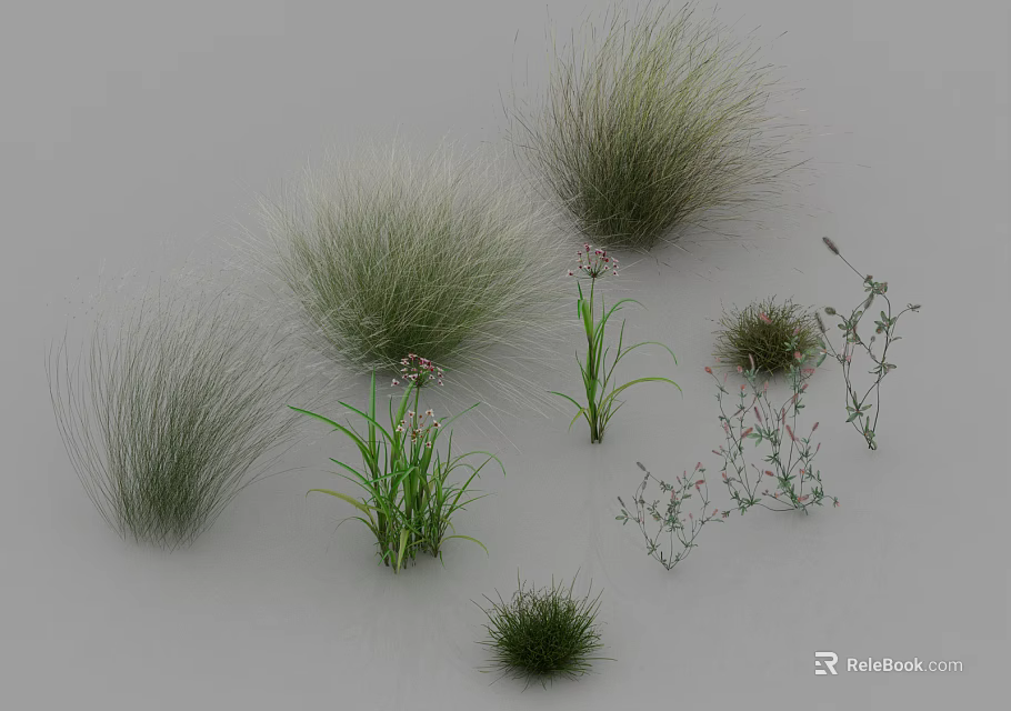 Various Herbs and Grasses with Different Shapes Sizes and Small Flowers on Gray Background 3d model 