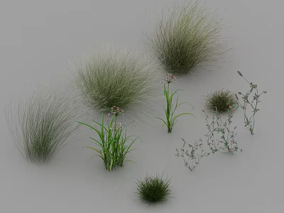 Various Herbs and Grasses with Different Shapes Sizes and Small Flowers on Gray Background 3d model