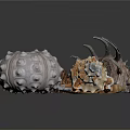 Natural Shell Decorative Ornament Set With Unique Shapes And Colorful Details