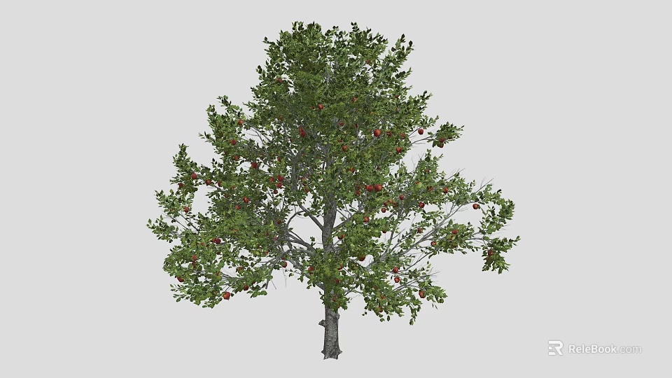 Lush Green Leafy Tree With Vibrant Red Fruits Against Gray Background 3d model 