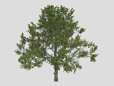 Lush Green Leafy Tree With Vibrant Red Fruits Against Gray Background 3d model