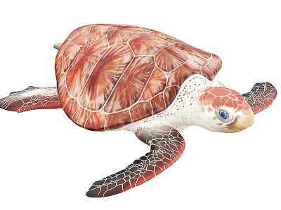 Vibrant Sea Turtle with Red Brown Shell White Head Blue Eyes and Textured Limbs 3d model