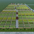 Vast Agricultural Landscape With Neat Crop Ridges Green Plants Central Paths And Buildings