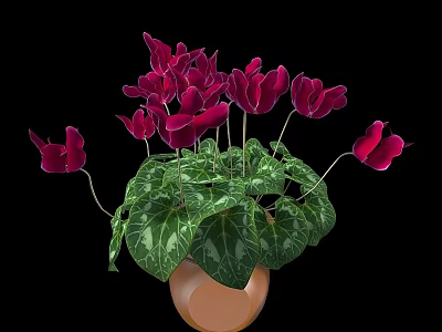 Bonsai Potted Plant with Dark Red Flowers and Green White Patterned Leaves in Brown Pot 3d model