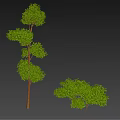 Cartoon Scene Featuring Lush Green Trees With Spiral And Round Canopies