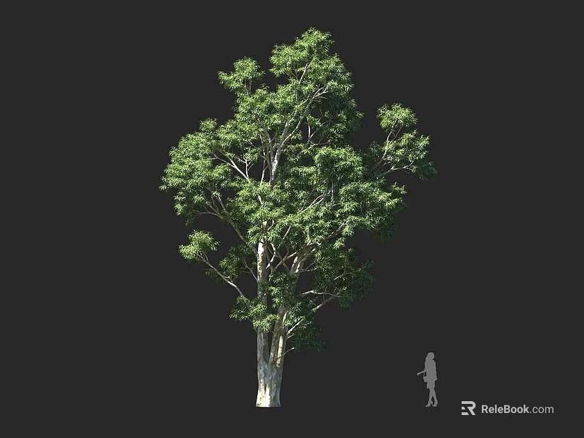 Tall Arbor Tree with Lush Green Foliage Thick Trunk and Human Silhouette on Dark Background 3d model 