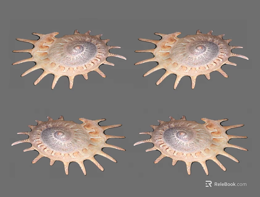 Four Aquatic Animal Shells With Radial Edges And Brown White Patterns 3d model 
