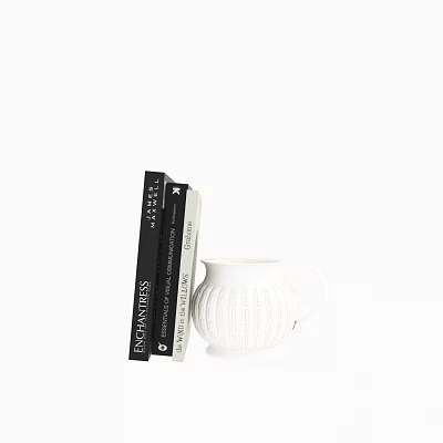 Modern Stack of Books With White Ceramic Mug in Elegant Minimalist Setting 3d model