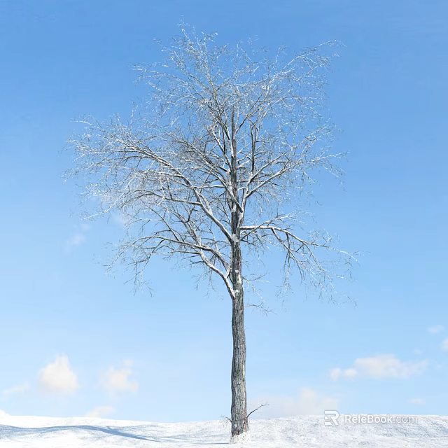 Bare Arbor Tree With Straight Trunk And Spreading Branches Against Blue Sky With White Clouds 3d model 