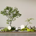 Tree Pool Illuminated Landscape Design With Green Plants White Spheres And Rock Ornaments