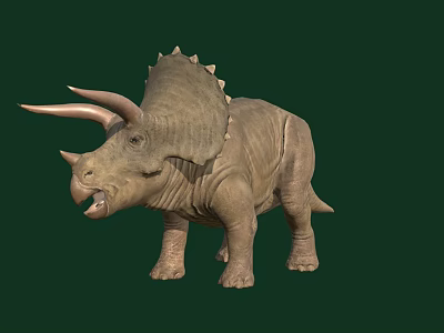 Realistic Triceratops Dinosaur Model With Large Horns Frill And Open Mouth 3d model