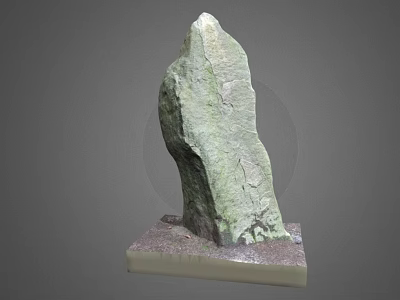 Natural Textured Stone With Green Moss Standing On Solid Wooden Base 3d model