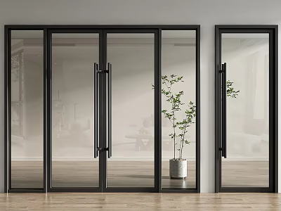 Black Framed Glass Sliding Doors Indoor Scene With Wooden Floor And Potted Plant 3d model