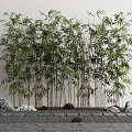 Lush Tall Bamboo Plants Against White Wall With Stone Lantern And Paved Ground