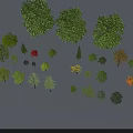 Beautiful Collection of Various Arbor Trees With Different Sizes and Colorful Leaves