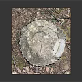 Natural Rustic Stone Stool With Square Base Round Textured Top Moss And Small Plants