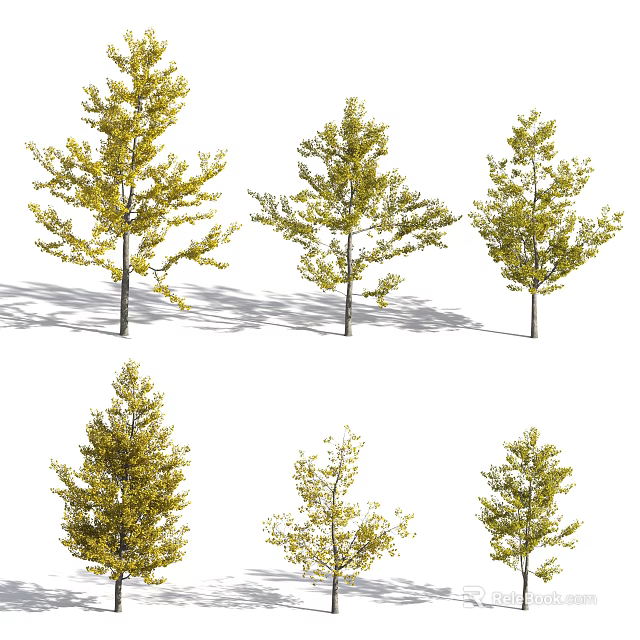 Various Arbor Trees With Yellow Foliage And Natural Shadows 3d model