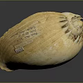 Detailed Yellow Plant Seed Shaped Sculpture With Carved Inscriptions And Numbers
