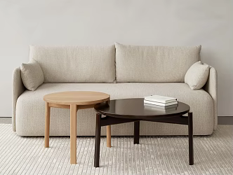 Modern double sofa coffee table combination 3d model