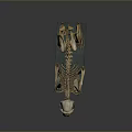 Mammalian Skeleton Organ Structure Display on Blue Base Stand with Detailed Bones