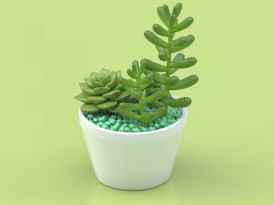 Bonsai Potted Plant with White Pot Green Succulents and Green Pebbles on Light Green Background 3d model