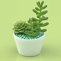 Bonsai Potted Plant with White Pot Green Succulents and Green Pebbles on Light Green Background