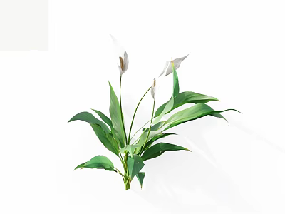 Fresh Green Leafy Plants With White Flowers On Clean White Background 3d model