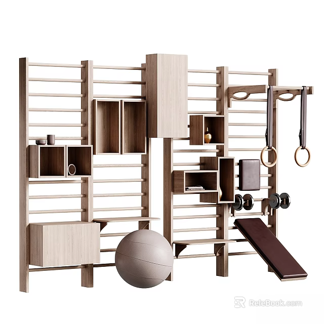 Wooden Gym Equipment Rack With Gym Rings Exercise Ball And Dumbbells 3d model 