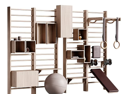 Wooden Gym Equipment Rack With Gym Rings Exercise Ball And Dumbbells 3d model