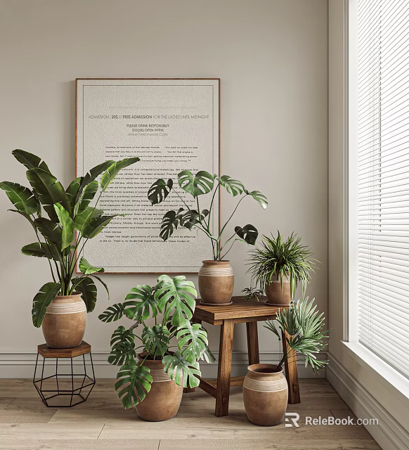 Indoor Green Leafy Potted Plants In Terra Cotta Pots On Wooden Table And Small Stool 3d model 