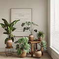 Indoor Green Leafy Potted Plants In Terra Cotta Pots On Wooden Table And Small Stool