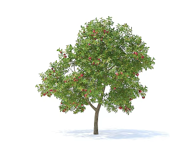 Lush Green Arbor With Red Fruits And Brown Trunk In Natural Setting 3d model