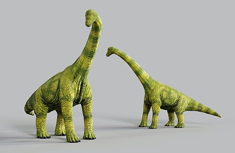 Modern reptile Brachiosaurus dinosaur 3d model