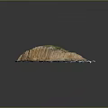 Natural Wood Stone Model With Green Vegetation And Blue Wavy Edges Design